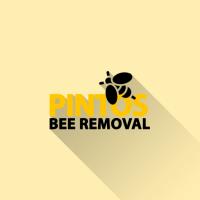 Pintos Bee Removal image 2